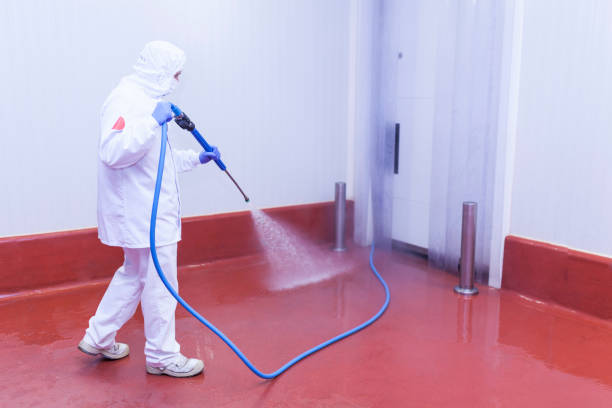 Best Boat and Dock Cleaning  in Honaker, VA